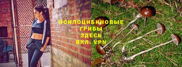 соль курить ск Нефтекумск