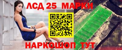 гидропоника Гусев