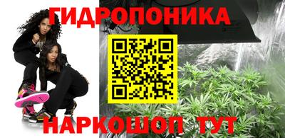 гидропоника Гусев