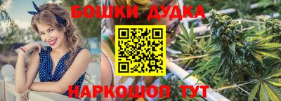 гидропоника Гусев