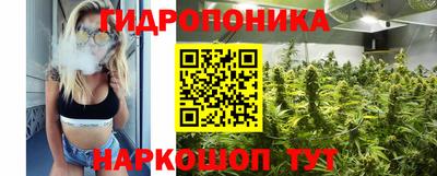 PSILOCYBIN Гусь-Хрустальный