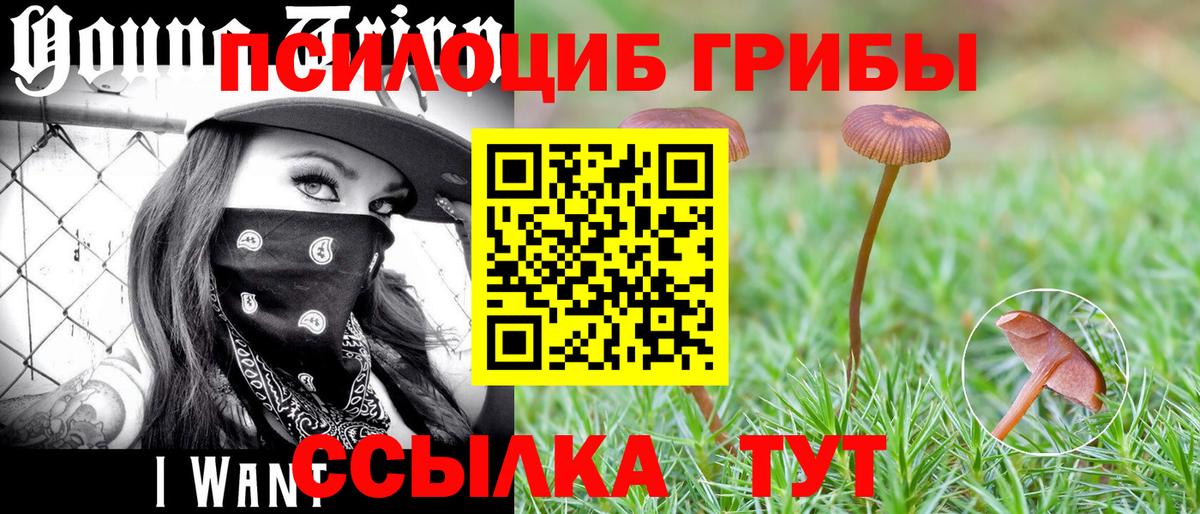Галлюциногенные грибы Psilocybine cubensis  Псилоцибиновые грибы ЛСД  Сланцы  Вход с VPN 