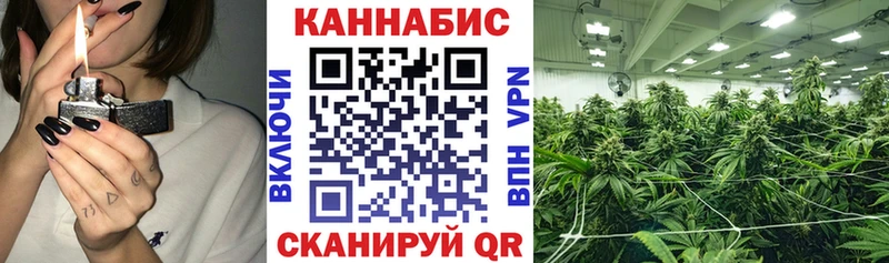 мега зеркало  Сланцы  Шишки марихуана тримм 